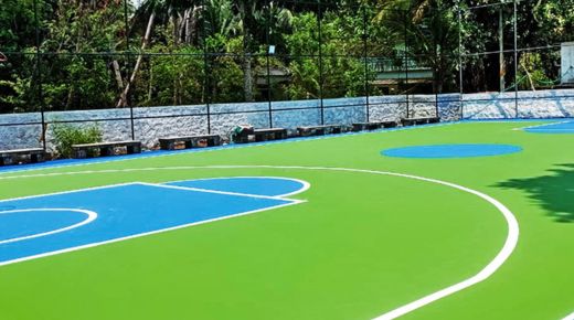 basketball court colors